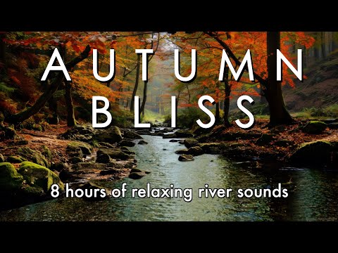 Autumn Bliss 🍁 8 hours of Relaxing River Sounds & Ambience in Fall 🍁
