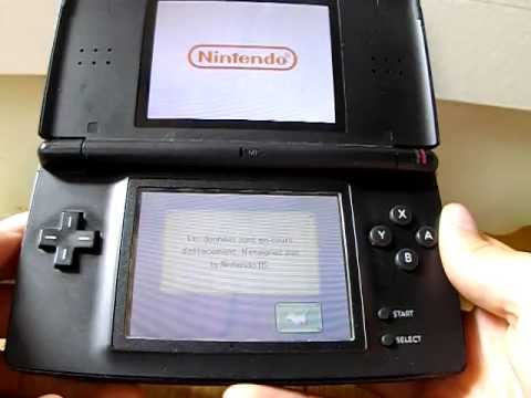 Palace pour Chiens Nintendo DS