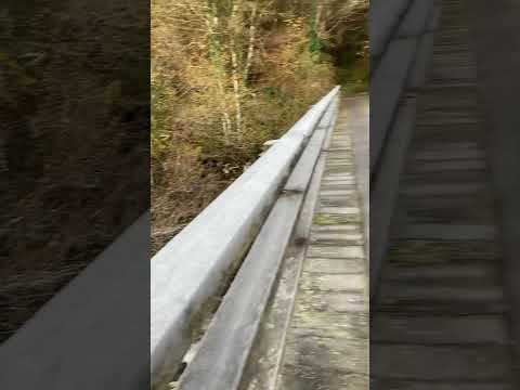 英国ウェールズのジャングルキャンプから著名人らが避難