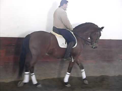 xico monte das flores 1