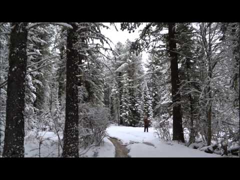 Смотреть видео Смотреть видео