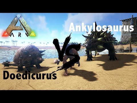 ARK INSIGHT!!! -- Doedicurus V.S Ankylosaurus