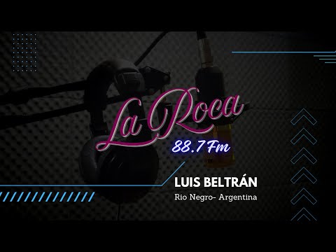 Programa en vivo