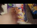 The Pagemaster 1995 VHS Review