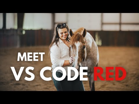 Meeting VS Code Red for the first time!