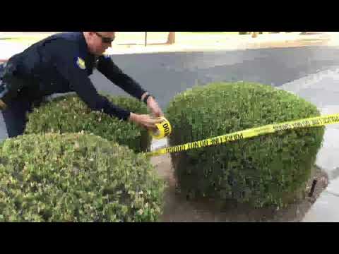 Battle with the caution tape