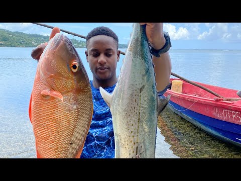 Living From The Ocean Camping and Spearfishing For Food pt-2