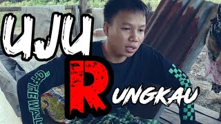 Download lagu 'UJU RUNGKAU' bahasa rawak (sekadau) karya anak langkau mp3 Download lagu 'UJU RUNGKAU' bahasa rawak (sekadau) karya anak langkau mp3
