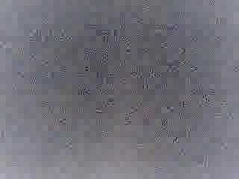 Re: Bone Thugs-N-Harmony ft. Mariah Carey & Bow Wow - Lil' Love