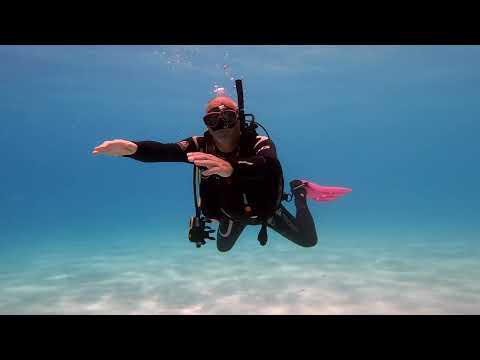 IDC Skills - Skill no. 7. Regulator Recovery and clearing.