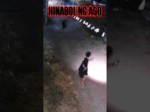 HINABOL NG ASO (RAW VIDEO)