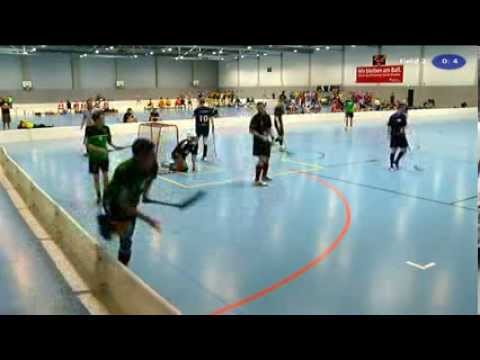 IFC Dresden 2013: USV TU Dresden - USV Saalebiber Halle