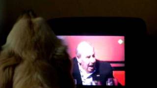 Rosa vs Toots Thielemans.MOV