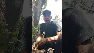 Download lagu gelas retak mp3 Download lagu gelas retak mp3
