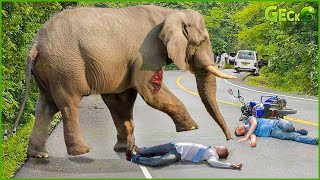 OMG! While Angry, The Giant Elephant Rushes Straight Into The Car, Making Tourists Extremely Scared