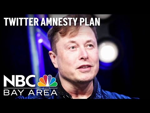 Twitter Users, Experts Raise Concerns Over Elon Musk's ‘Amnesty' Plan