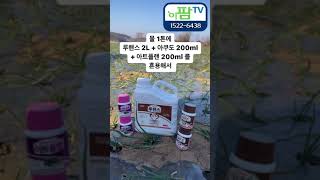 양파가 잠에서 깼다 우리 양파 봄관리 대작전!!! 성공할 수 밖에 없는 농법은?