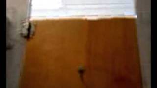 Nasty Bathroom Stall at College Nasty Bathroom Stall at College