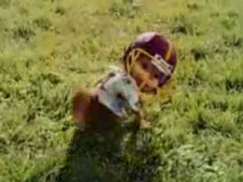 Alvin and the Chipmunks The Squeakuel Official Trailer HD