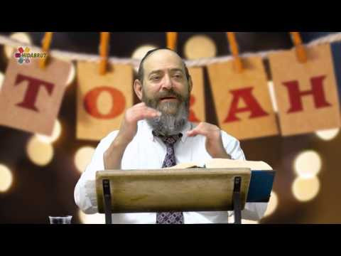 Parshat Vayigash: Yaakov Receives the News - Rabbi David Kaplan