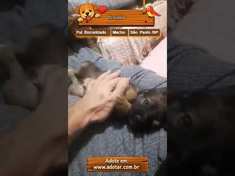 Vídeo de Zezinho
