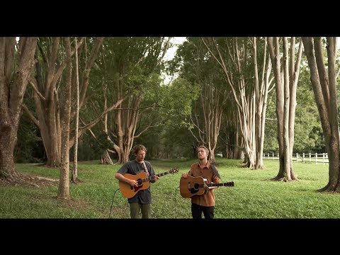 Hollow Coves - The Open Road (Acoustic Session)