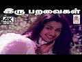 Iru Paravaigal 4K ஜென்சி பாடிய பாடல் இரு பறவைகள்