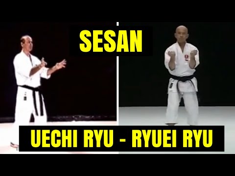 Seisan comparado - Uechi Ryu (K. Shinjo) & Ryuei Ryu (T. Sakumoto)
