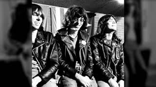 Download lagu 5. All Screwed Up - Brain Drain (1989) / Ramones mp3