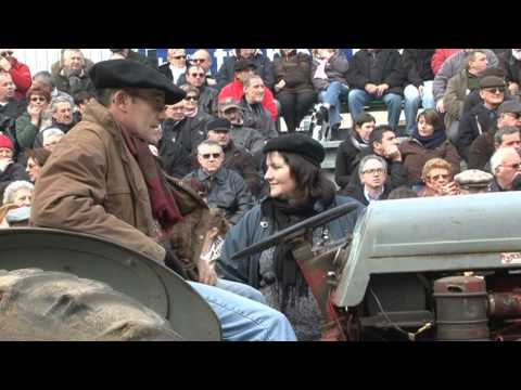 Boeufs gras Bazas 2011