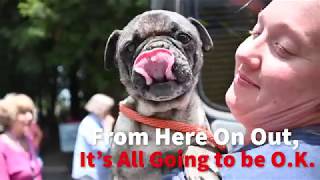 INTERNATIONAL RESCUE: 45 LIVES SAVED!