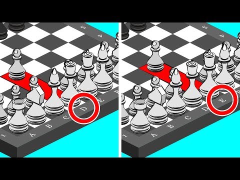 How to Play Chess: A Complete Guide for Beginners