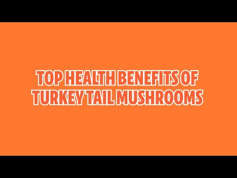 Top Health Benefits of Turkey Tail Mushrooms