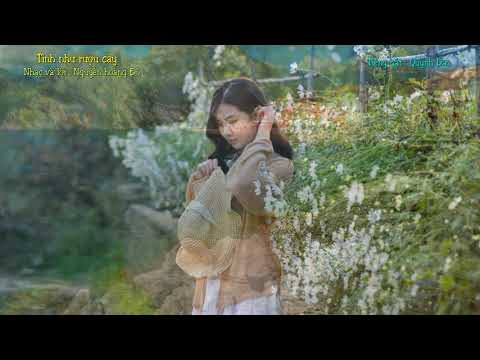 Tình như rượu cay Sheet - Quỳnh Dao