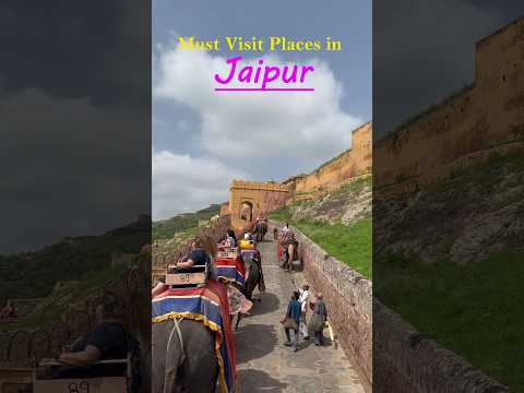 Must Visit Places in Jaipur 🦢🦚✨