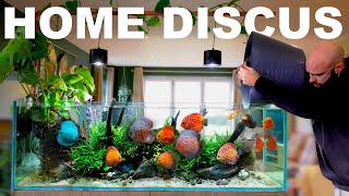 Building A Home Discus Aquarium (FINAL EPISODE)