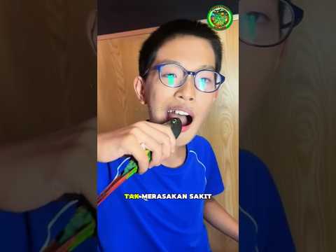 Anak Ini Memiliki Burung Beo Yang Menjadi Dokter Gigi Dadakan ❤️🐦