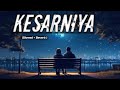 Kesariya - Film Version | Brahmastra | Ranbir | Alia | Pritam | Arijit | Amitabh