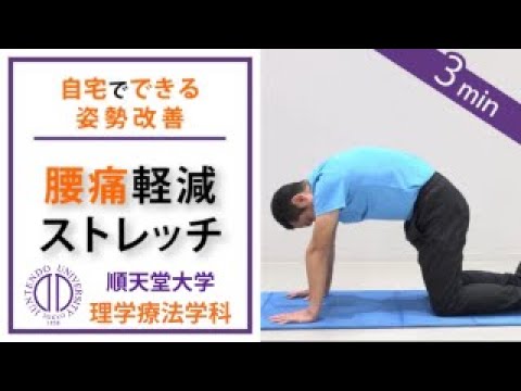 医学科 【腰痛軽減】理学療法士が教える 2分間の腰伸ばしストレッチ（キャットアンドドッグ、姿勢改善）（腰痛の方向け）