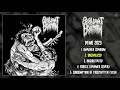 Brilliant Behemoth Demo 2023 FULL DEMO Grindcore Goregrind D Beat