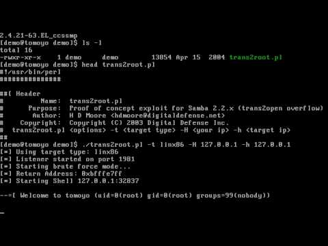 Samba exploit (trans2root)