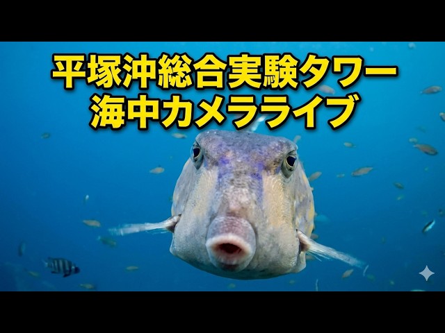 東京大学 平塚沖総合実験タワー