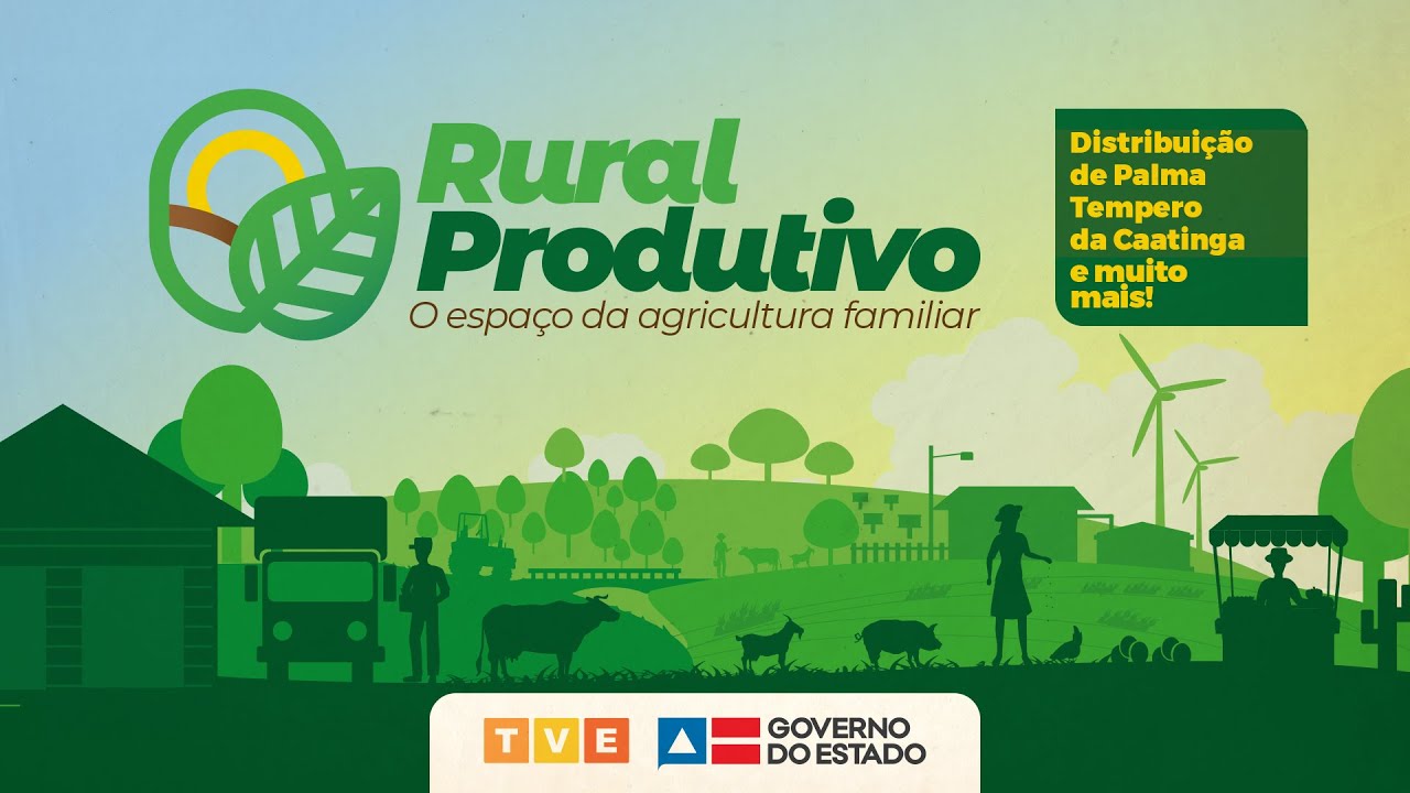 PALMA, TEMPEROS DA CAATINGA E ARTESANATO NO RURAL PRODUTIVO