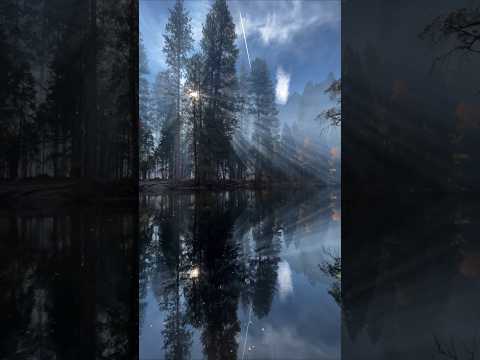 morning sunrise forest view | morning sunrise nature | morning sunrise nature sounds