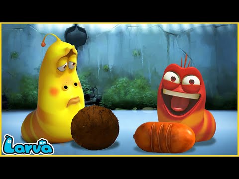 Larva Tuba - ĐỎ VÀ VÀNG  - ẤU TRÙNG TINH NGHỊCH - PHIM HOẠT HÌNH CON SÂU HAY NHẤT 2021