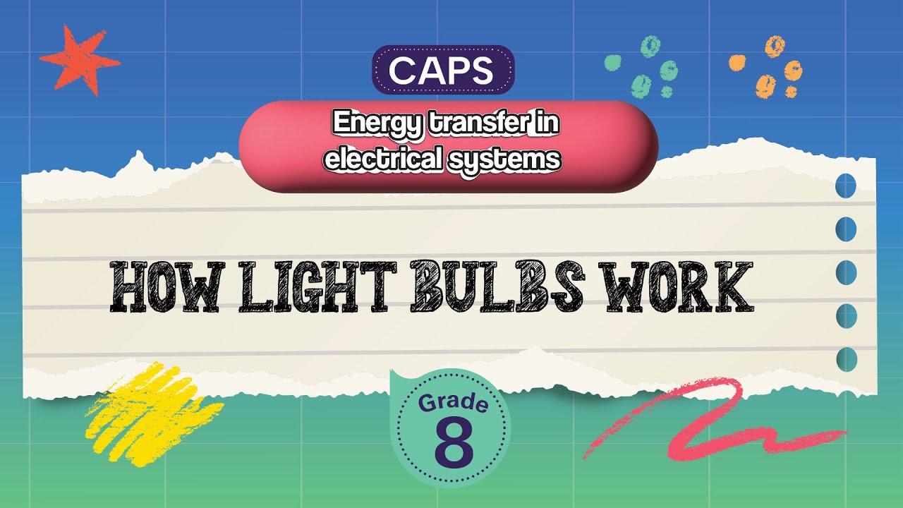 [GRADE 8] How light bulbs work
