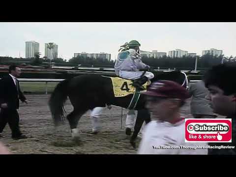 1998 FLORIDA DERBY  A Bump, A DQ and Lot's of Drama!