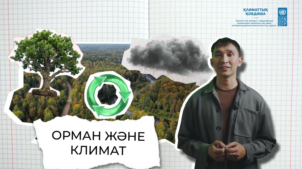 Орман және климат туралы бейнесабақ