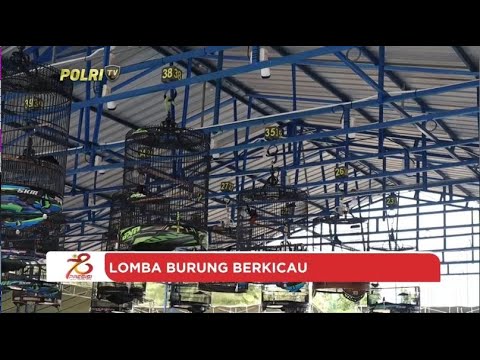 POLRES SUMENEP LOMBA BURUNG BERKICAU