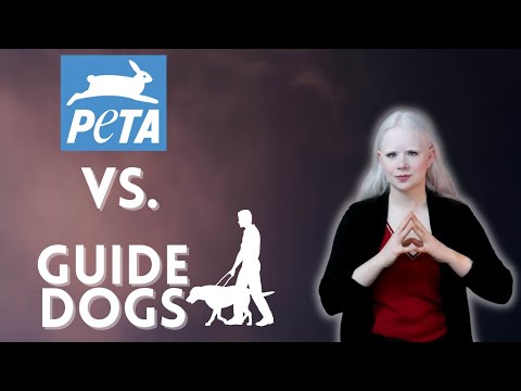 YouTube video about: Should this dog be called spot answer key?